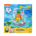 SpongeBob Terrarium Kit