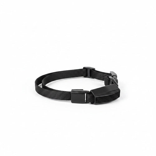 Tap2Own black adjustable nylon dog collar with buckle closure and velcro strap for a secure fit.