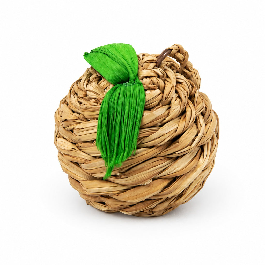Tap2Own woven apple-shaped natural fiber chew toy with green leaf detail. Natural tan color.