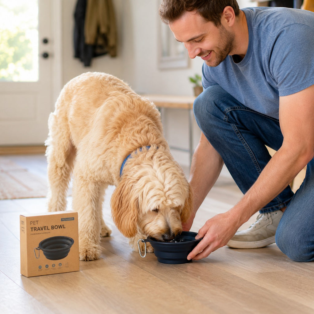 Tap2Own navy blue collapsible silicone pet travel bowl with carabiner clip, being used by a dog.