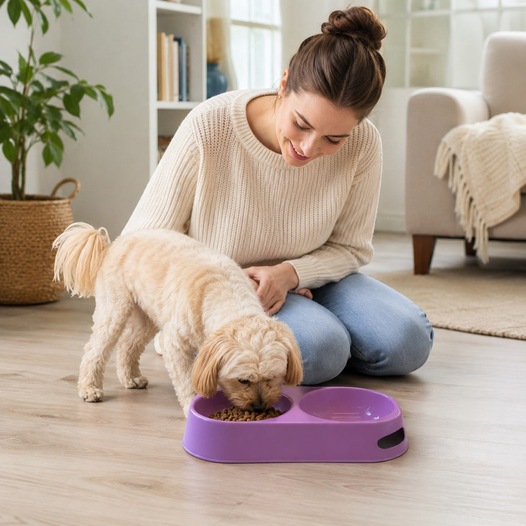 Tap2Own lavender plastic double pet food and water bowl with elevated base for comfortable feeding.