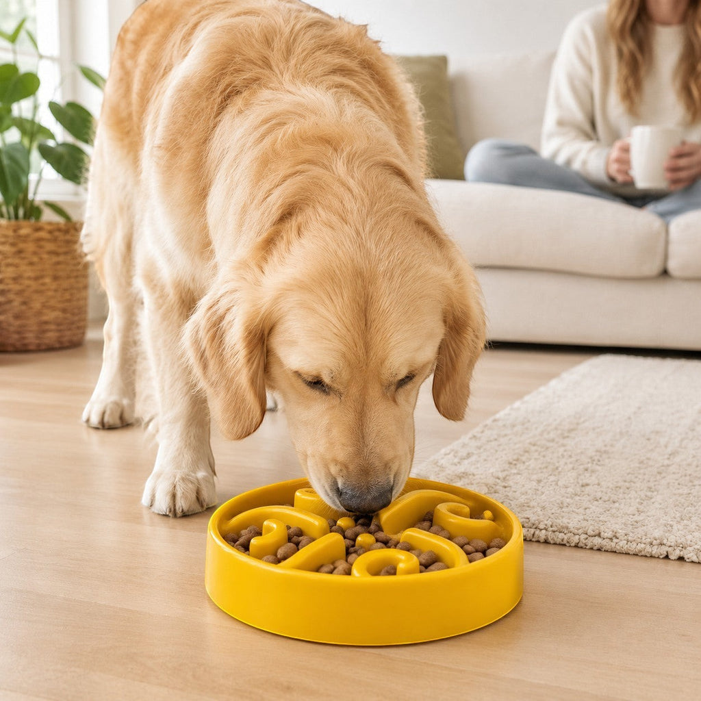 Tap2Own yellow interactive slow feeder dog bowl with maze design, filled with kibble, used by a golden retriever.
