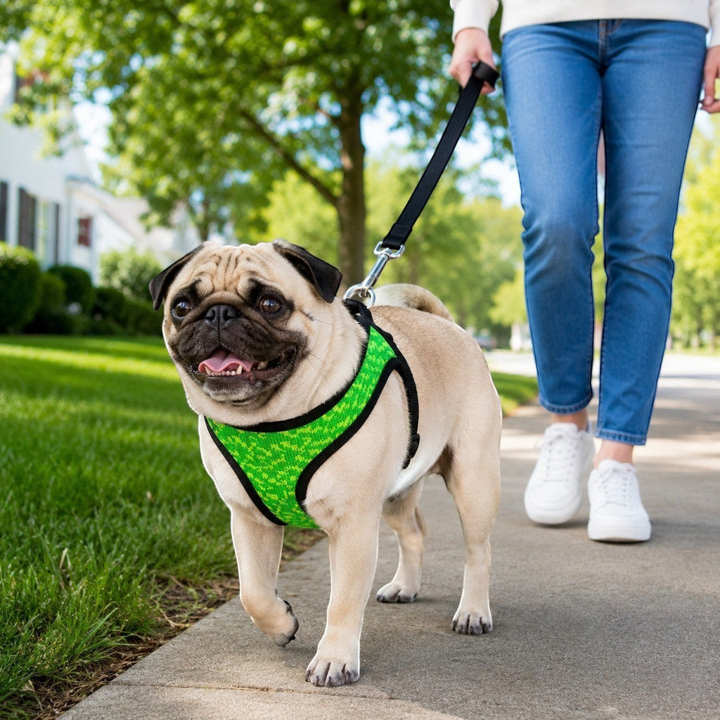 Tap2Own neon green knit dog harness with textured pattern on a pug walking on a sidewalk.