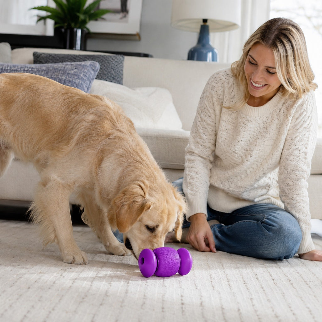 Tap2Own purple KONG Replay treat dispenser dog toy with a golden retriever interacting with it on a carpeted floor.