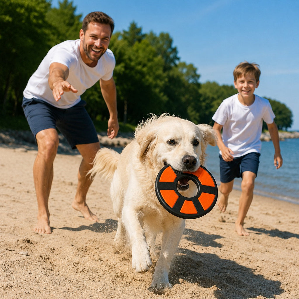 Tap2Own orange and black rubber flying ring dog toy held by a golden retriever on a beach.