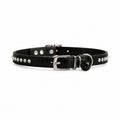 Tap2Own black faux leather cat collar with crocodile texture, rhinestones, bell, and buckle closure.